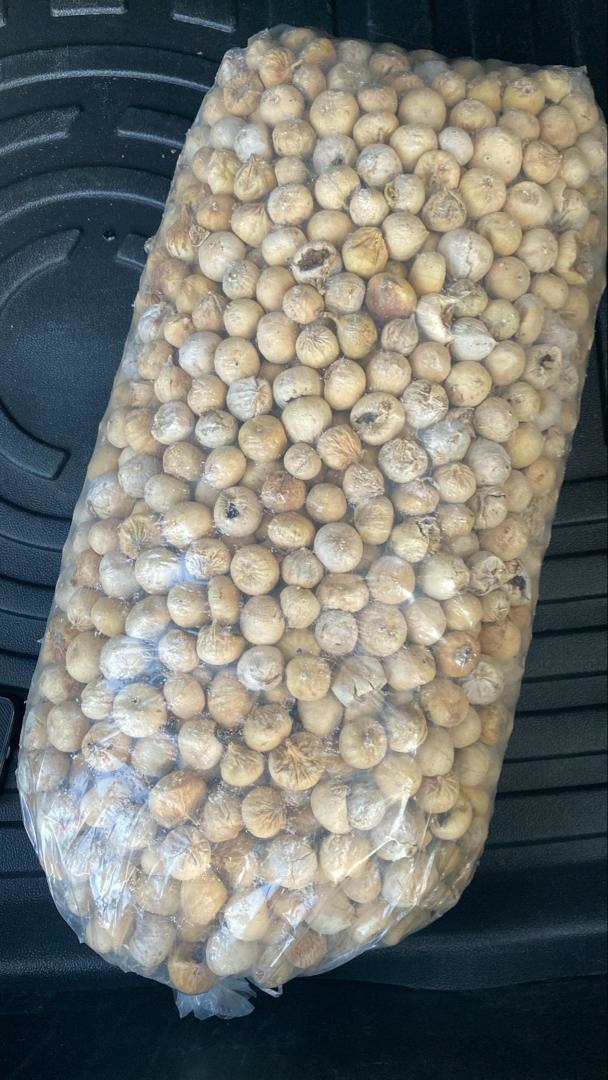 فروش انجیر پفکی ضعیف با بهترین قیمت